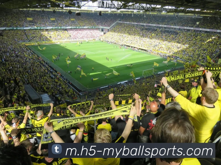 体育下注品牌故事