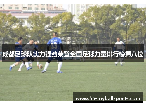 成都足球队实力强劲荣登全国足球力量排行榜第八位