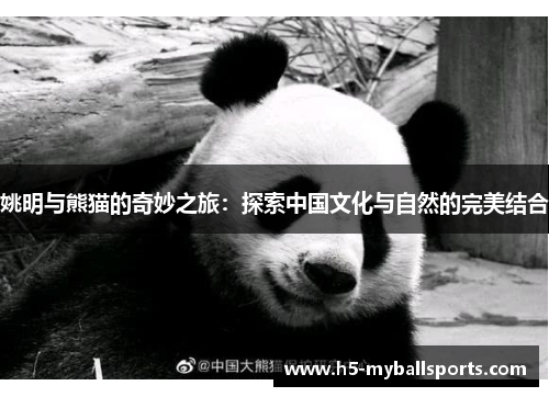 姚明与熊猫的奇妙之旅：探索中国文化与自然的完美结合